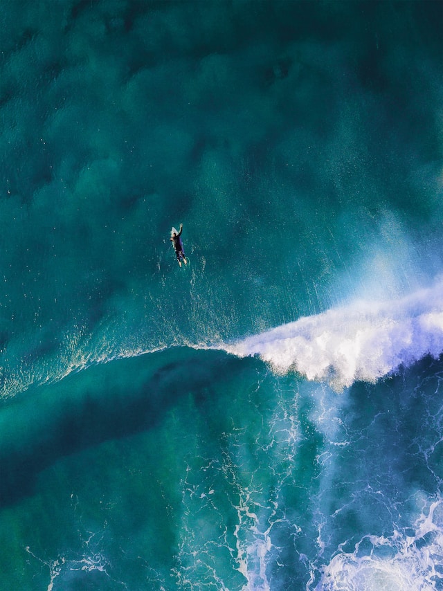 SURFIN Project